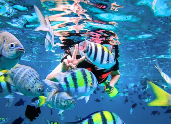 Snorkeling Gili Trawangan